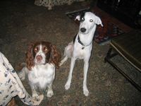 click for a larger view